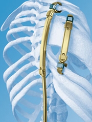 Tenleigh's Troops Tenleighs Troops